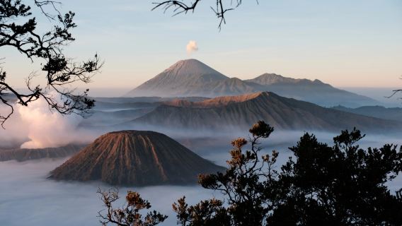 Excursión de un día en jeep para ver las estrellas en el volcán Bromo, Surabaya, Indonesia (viaje organizado desde 1 persona/tour privado)
