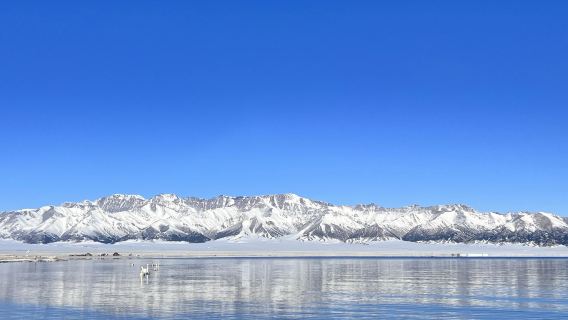 1-day tour to Sayram Lake