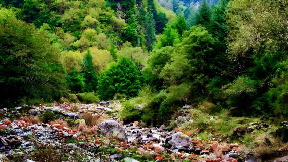 Jia'ermengcuo Chinese One-Day Group Tour: Step into the Mighty Realm of Tibetan Plateau's Wildness