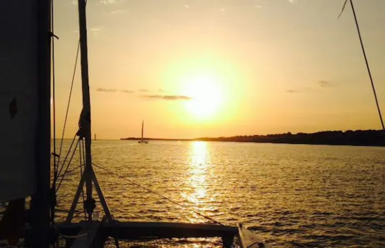 福內爾斯灣：日落雙體船之旅