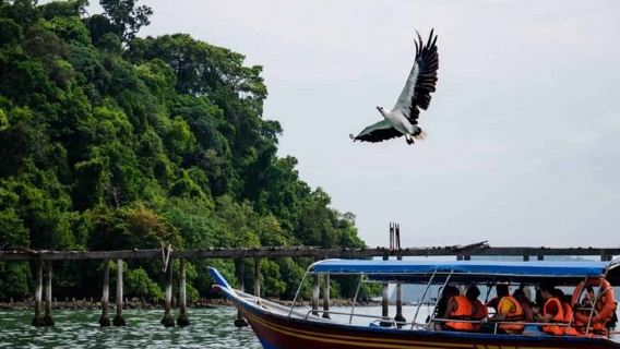 Экскурсия по островам Лангкави и мангровым зарослям на 3 часа с остановкой для сноркелинга