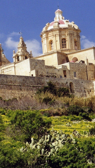 1-day private chartered tour to Mdina + Buskett gardens + Blue Grotto + Marsaxlokk fishing village