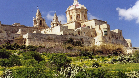 1-day private chartered tour to Mdina + Buskett gardens + Blue Grotto + Marsaxlokk fishing village