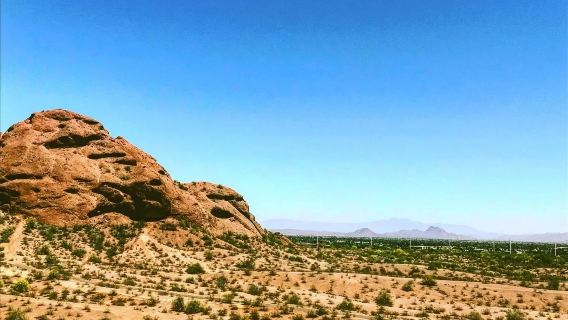 Lawatan Disesuaikan Phoenix, Amerika Syarikat | Zoo Phoenix + Taman Papago + Bandar Perlombongan Emas ※ Boleh Dilaras