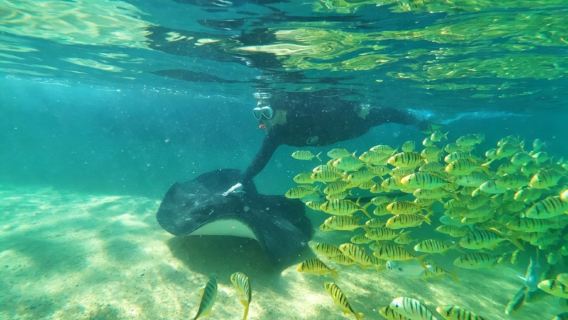 Kursus snorkeling ikan pari PADI di Pulau Fenjiezhou dengan jurulatih profesional dalam kumpulan kecil, termasuk rakaman snorkeling percuma