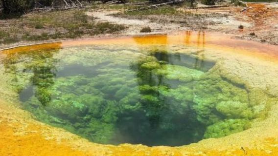 Salt Lake City + Kolam Morning Glory + Tasik Yellowstone, Amerika Syarikat - Lawatan Sehari / Itinerari Boleh Dilaras - Boleh Dikustomisasi