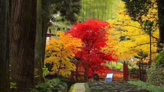 [Lawatan mendalam Sendai] Tapak Istana Sendai + Zuihoden + Pulau Matsushima + Universiti Tohoku | Sila hubungi untuk tempahan disesuaikan