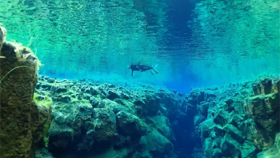 Island Silfra snorklingsupplevelse | Snorkelutrustning + foton + valfri hämtning och avlämning