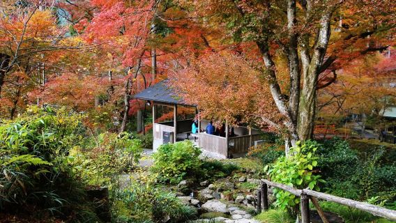 日本京都來回+嵐山+渡月橋+貴船神社一日遊【中文包車上門接】