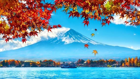 Mount Fuji 9-person small group pickup: Popular instagrammable attraction, Lake Kawaguchi, Lawson 1-day tour