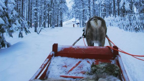 Finland Rovaniemi - Kampung Santa Claus - Kereta Laju Rusa Kutub - Sewaan Peribadi Lawatan Sehari Tidak Termasuk Tiket - Ikut Kemahuan