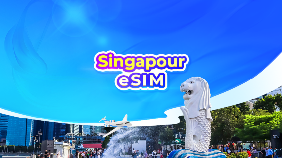 [Singapour] 4G eSIM | Pas d'envoi postal | Installation en un clic | Facturation sur 24 heures | QR code