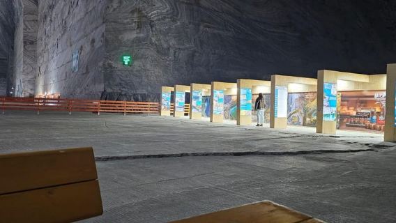布加勒斯特：鹽礦－德古拉之墓及喀爾巴阡山村落之旅
