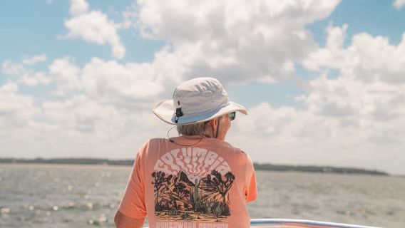 Hilton Head Island: Dolphin Cruise & Nature Tour
