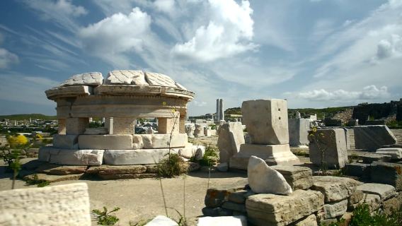 From Mykonos Cruise Port: Afternoon Delos Guided Tour