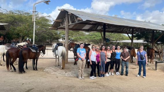 Aruba: Horseback Ride Tour to Wariruri Beach