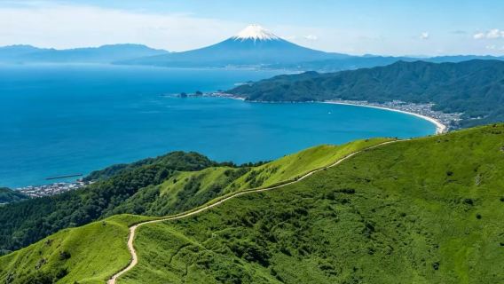 Sewaan peribadi Izu: Gunung Omuro + Zoo Kaktus + Pantai Jogasaki + Keretapi Pemandangan Laut [Penjemputan di tempat]