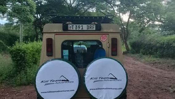 Zanzibar: Mikumi National Park Day Trip with Flights