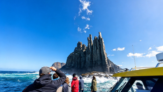Bådtur til Cape Raoul i Tasmanien