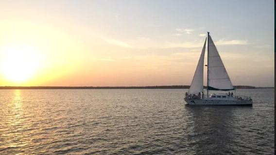 Orange BeachExperiences