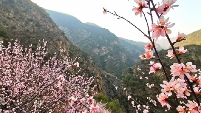 鹹陽鄭國渠旅遊風景區一日遊【拜水都江堰-秋遊鄭國渠】
