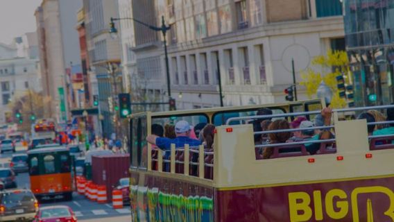 Big Bus Washington D.C. - Panoramic Night Tour