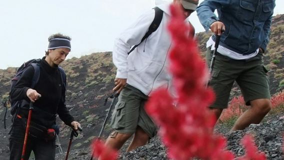 Mount Etna: Excursion from Catania