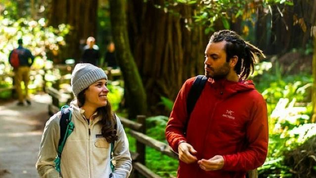 From San Francisco: Full Day Wine Country Tour and Muir Woods