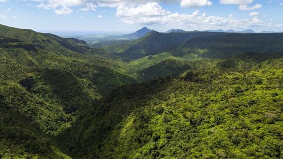 MauritiusTours