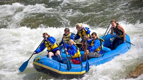 烏布半客製化私人包團 – 全日或半日行程可選