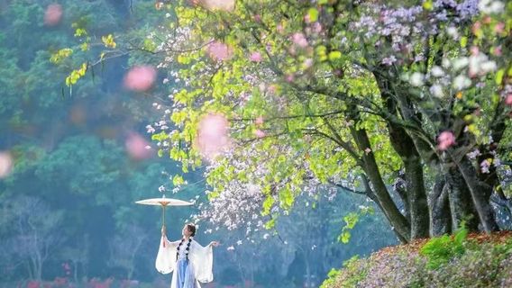 肇慶日遊