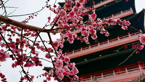 Hefei