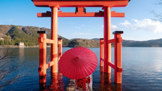 Tour di un giorno a Hakone: Museo all'aperto Hakone + Owakudani + Santuario di Hakone (Partenza da Tokyo)