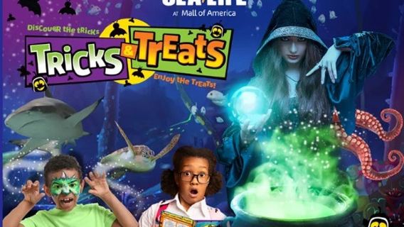 SEA LIFE at Mall of America: Entry Ticket