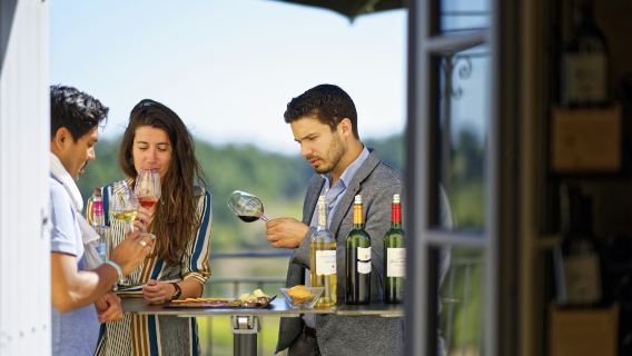 Château La Croizille: Guided Tour + Wine Tasting