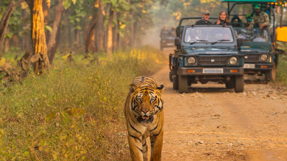 NepalganjTravel Services