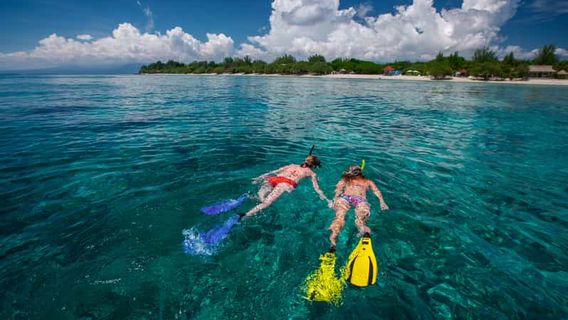 Bohol IslandTours