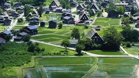 日本名古屋市區包車遊