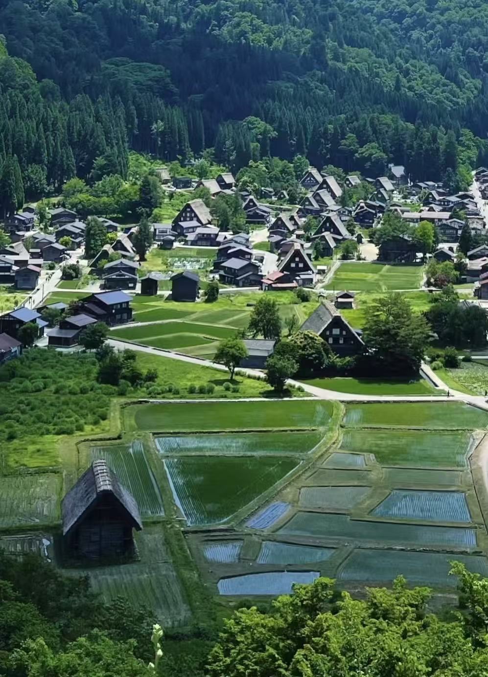 日本名古屋市區包車遊