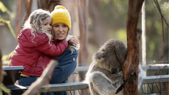 Melbourne Flexi Attractions Pass: 3, 5 or 7 Tickets