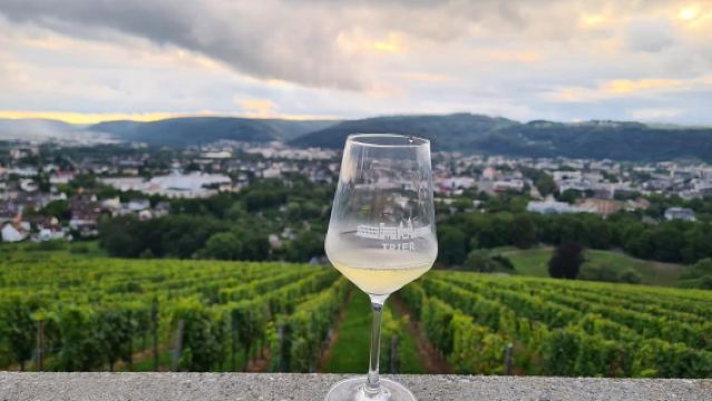 Trier: Wine and Food Tour – Round trip with wine tasting on a double-decker bus
