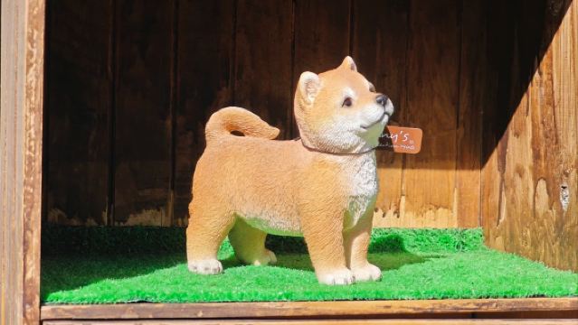 日本福岡來回由布院景點/可熊本別府大分九州多日綠牌包車-精選