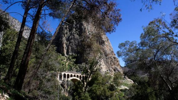 From Malaga: Caminito del Rey all included