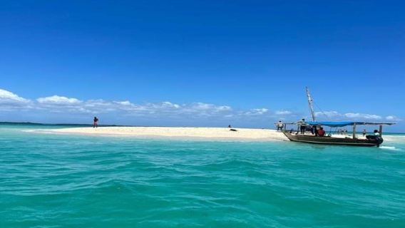 Zanzibar: Safari Blue Full-day Trip with Lunch