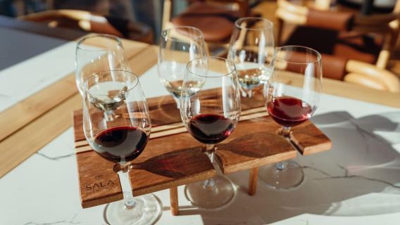 Porto: Degustazione di vini del Douro nella sala degustazione