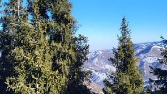 AlmatyTours