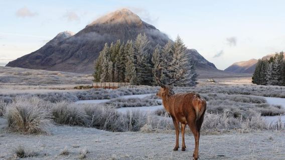 Ab Glasgow: Oban, Glencoe und Highlands Tagestour