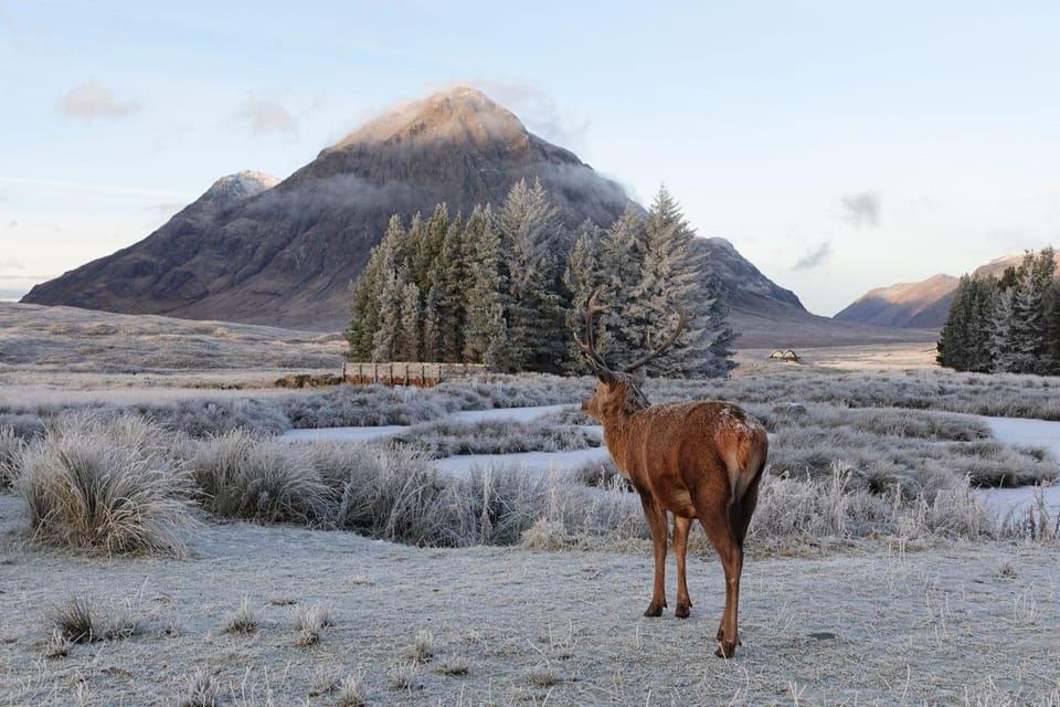 From Glasgow: Oban, Glencoe & Highlands Day Tour