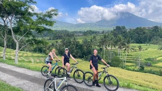 Bali: Jatiluwih-Radtour mit Mittagessen und Hoteltransfer