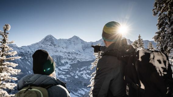 Interlaken: Winter-Alpenabenteuer - Schneeschuhwandern und Schlittenfahren